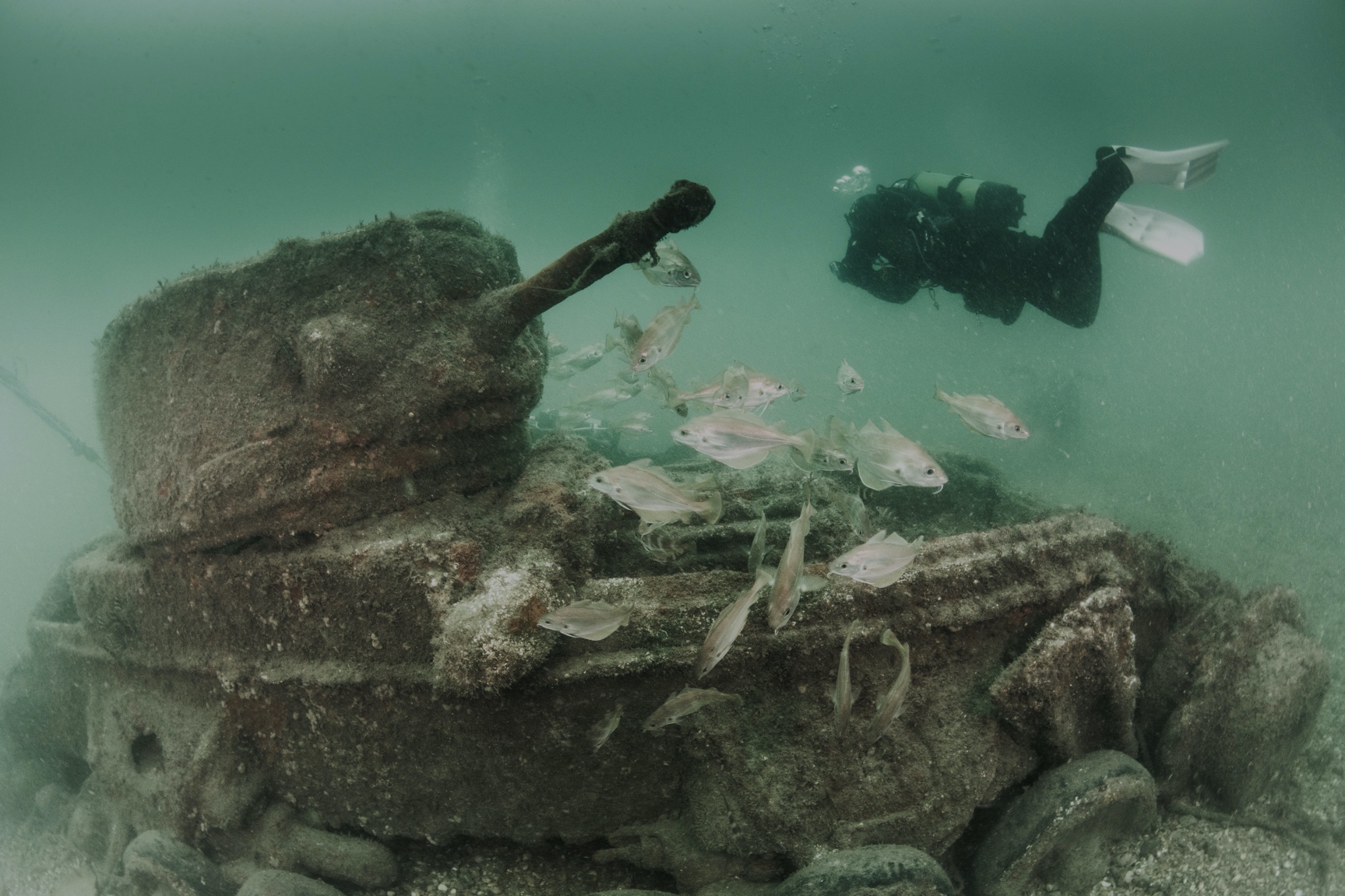 2005-2009, Wessex Archaeology, London Array, Archaeology Surveys