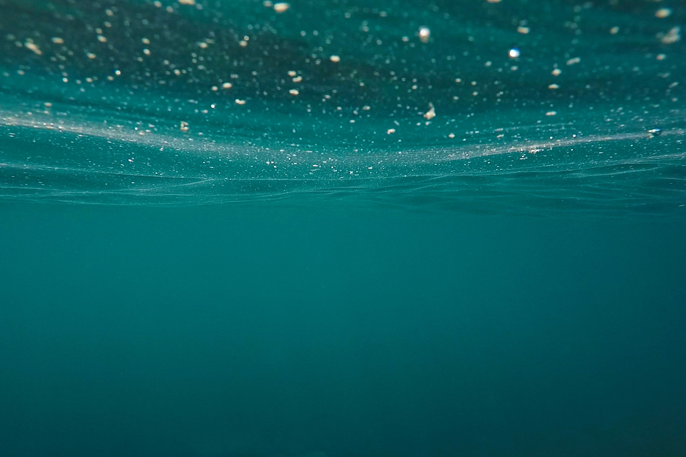 2022, Marine Scotland Science, The Crown Estate, Offshore Wind Evidence and Change Programme (OWEC), Review of fish and fisheries research to inform ScotMER evidence gaps and future strategic research in the UK