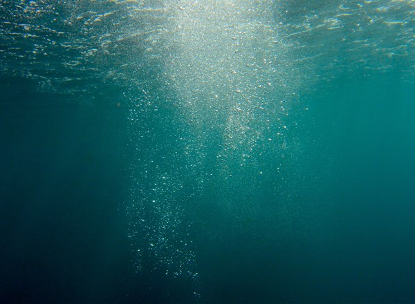 2022, Marine Scotland Science, The Crown Estate, Offshore Wind Evidence and Change Programme (OWEC), Review of fish and fisheries research to inform ScotMER evidence gaps and future strategic research in the UK