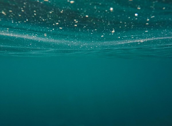 2022, Marine Scotland Science, The Crown Estate, Offshore Wind Evidence and Change Programme (OWEC), Review of fish and fisheries research to inform ScotMER evidence gaps and future strategic research in the UK
