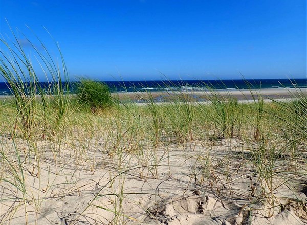 2019, The Crown Estate, Offshore Wind Evidence and Change Programme (OWEC), Record of the workshop held on 4 December 2019