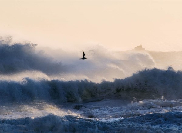 2021, MoD, BEIS, OWIC, Offshore Wind Evidence and Change Programme (OWEC), Air Defence and Offshore Wind Working Together Towards Net Zero