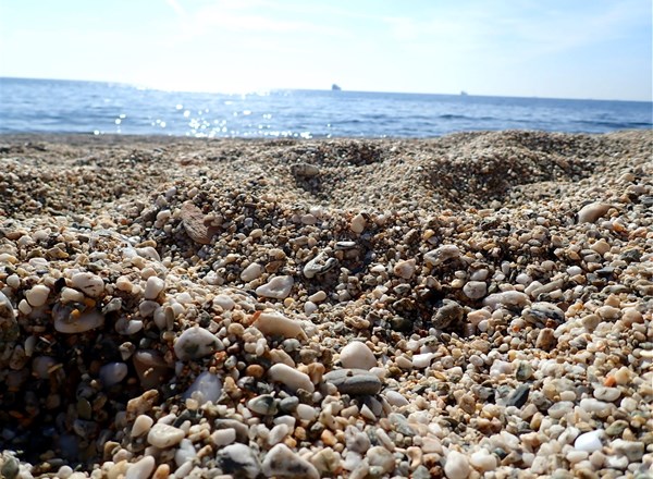 2012, Partrac, Ormonde, Sediment Monitoring Survey